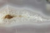 Polished Agate Replaced Petrified Wood Limb Cast - Oregon #326683-1
